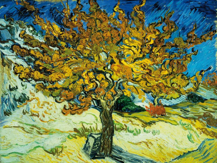 Van Gogh Vincent Mulberry Tree Paesaggio cm84X111 Immagine su CARTA TELA PANNELLO CORNICE Orizzontale