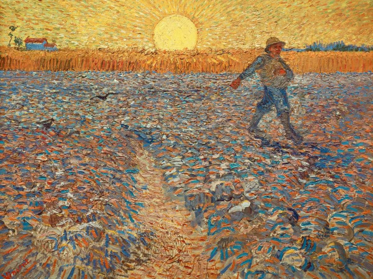 Van Gogh Vincent il seminatore Paesaggio cm84X111 Immagine su CARTA TELA PANNELLO CORNICE Orizzontale