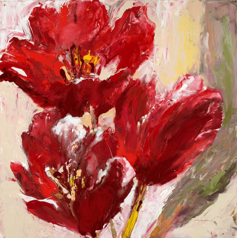 Heighton Brent Passionate Red Tulip Floreale cm77X77 Immagine su CARTA TELA PANNELLO CORNICE Quadrata