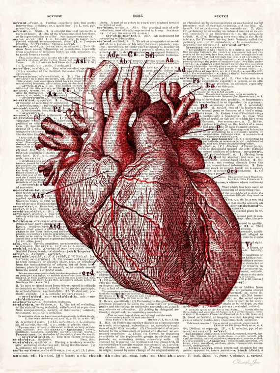 James Christopher Anatomia del cuore dell'annata Formazione scolastica cm73X54 Immagine su CARTA TELA PANNELLO CORNICE Verticale