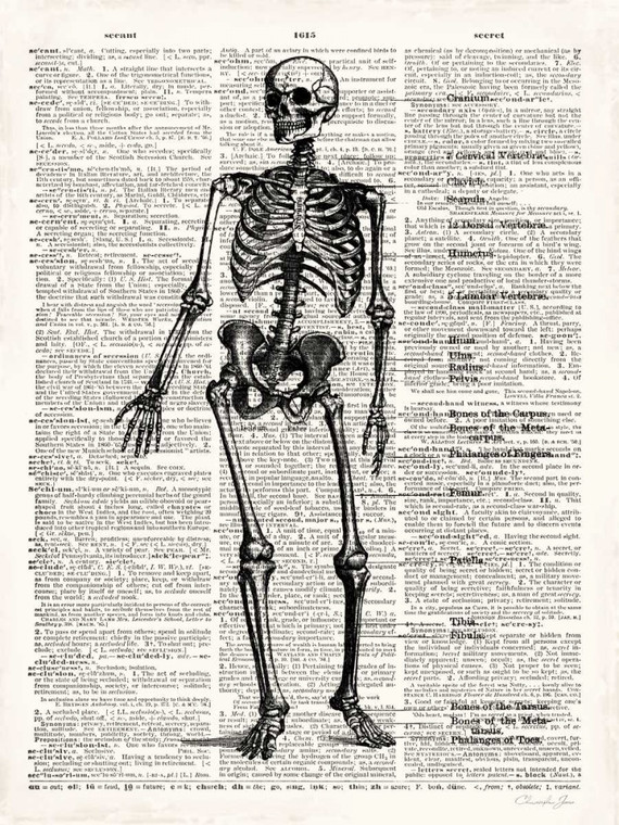 James Christopher Anatomia di scheletro d'epoca Vintage ? cm73X54 Immagine su CARTA TELA PANNELLO CORNICE Verticale