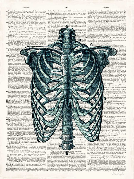 James Christopher Vintage Anatomy Study Vintage ? cm73X54 Immagine su CARTA TELA PANNELLO CORNICE Verticale