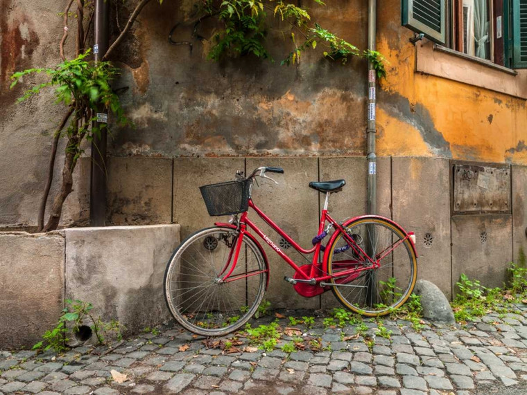 Frank Assaf Bicicletta al di fuori vecchio edificio, Roma, Italia europeo cm61X82 Immagine su CARTA TELA PANNELLO CORNICE Orizzontale