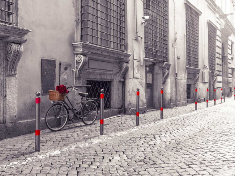 Frank Assaf Mazzo di rose in bicicletta sulla vecchia strada di città di Roma europeo cm61X82 Immagine su CARTA TELA PANNELLO CORNICE Orizzontale
