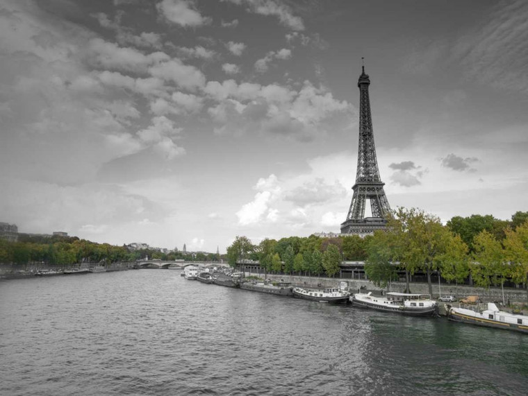 Frank Assaf Senna e la torre Eiffel, Parigi, Francia europeo cm61X82 Immagine su CARTA TELA PANNELLO CORNICE Orizzontale