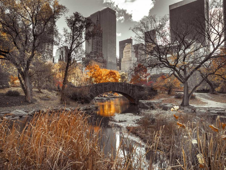 Frank Assaf Gapstow Bridge in autunno, Central Park, New York City, FTBR 1801 Paesaggio cm61X82 Immagine su CARTA TELA PANNELLO CORNICE Orizzontale
