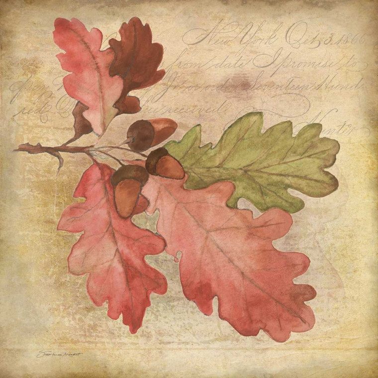 Marrott Stephanie Oak Leaf 1 Natura cm54X54 Immagine su CARTA TELA PANNELLO CORNICE Quadrata