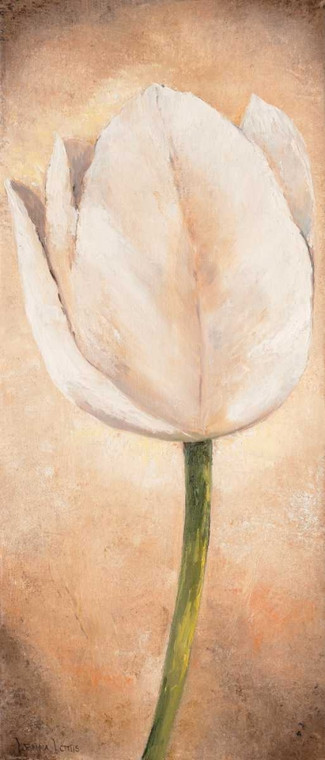 Lotus Lenna Tulipano su I beige Floreale cm125X52 Immagine su CARTA TELA PANNELLO CORNICE Verticale