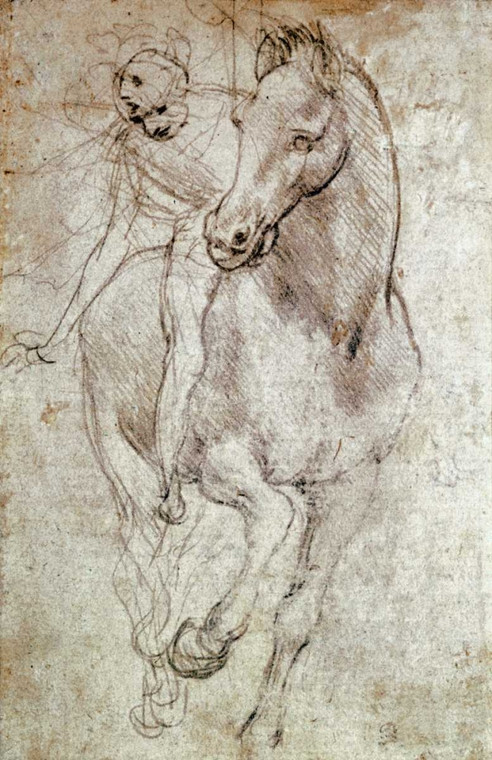 Da Vinci Leonardo Cavallo e Cavaliere Animali cm100X64 Immagine su CARTA TELA PANNELLO CORNICE Verticale