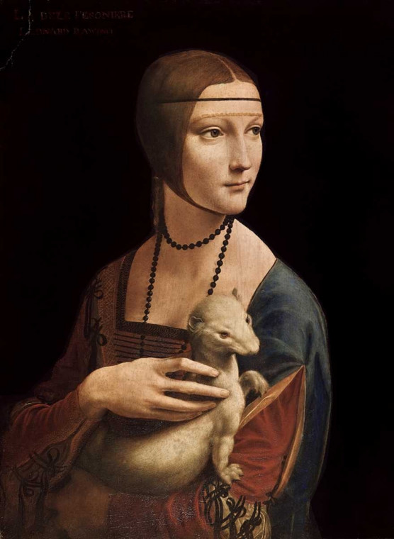 Da Vinci Leonardo Ritratto di Cecilia Gallerani   Dama con l'ermellino Animali cm70X50 Immagine su CARTA TELA PANNELLO CORNICE Verticale