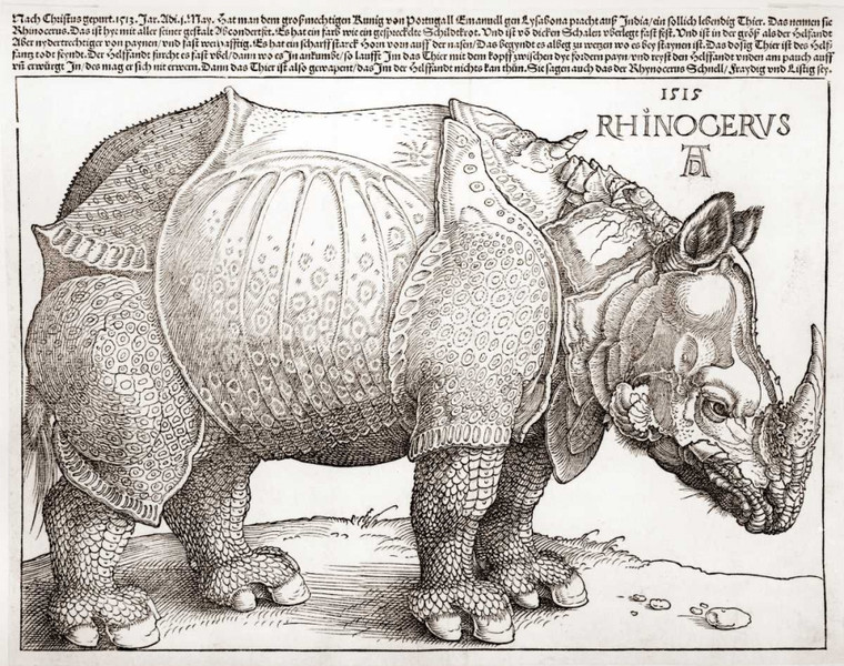 Durer Albrecht il rinoceronte Animali cm70X91 Immagine su CARTA TELA PANNELLO CORNICE Orizzontale