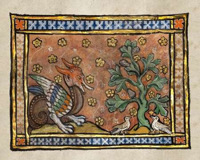 Franco Flemish 13th Century A Dragon ricarica Two Doves (dettaglio) museo cm54X68 Immagine su CARTA TELA PANNELLO CORNICE Orizzontale