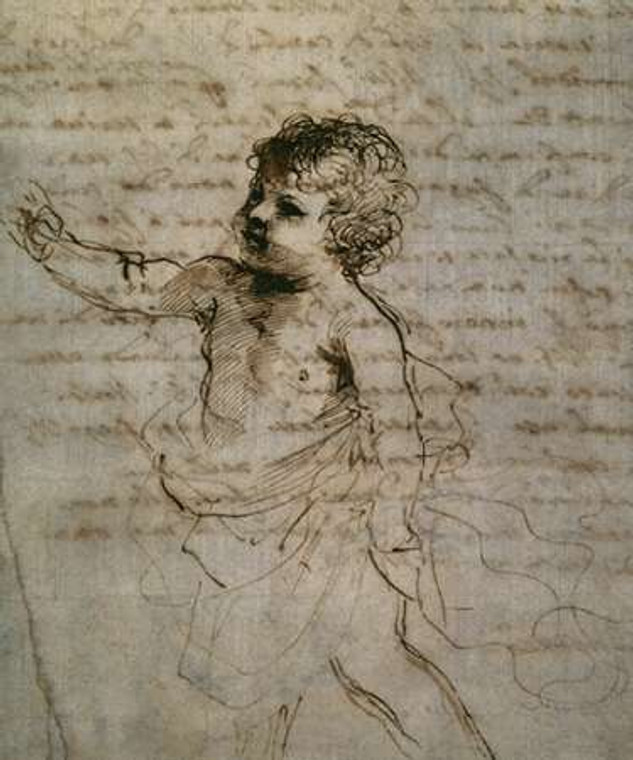 Guercino Schizzo di un bambino museo cm87X73 Immagine su CARTA TELA PANNELLO CORNICE Verticale