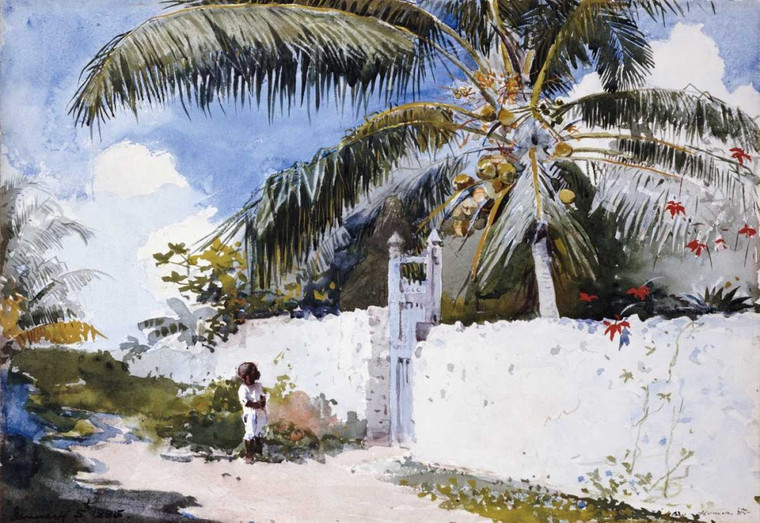 Homer Winslow Un Giardino A Nassau Arte per bambini cm59X86 Immagine su CARTA TELA PANNELLO CORNICE Orizzontale