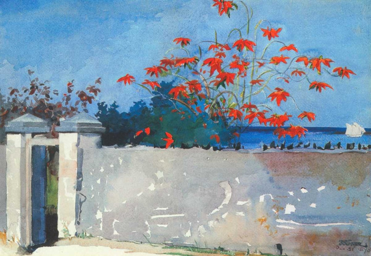 Homer Winslow A Nassau Muro Costiero cm75X109 Immagine su CARTA TELA PANNELLO CORNICE Orizzontale