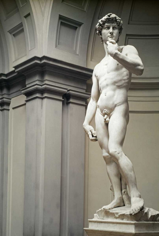 Michelangelo David Vintage ? cm96X64 Immagine su CARTA TELA PANNELLO CORNICE Verticale