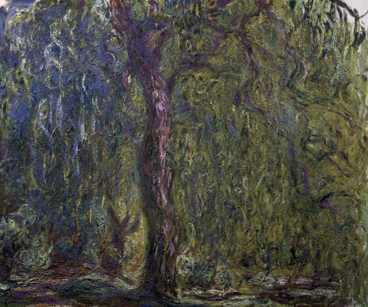 Monet Claude Weeping Willow   Saule pleureur Astratto cm73X86 Immagine su CARTA TELA PANNELLO CORNICE Orizzontale