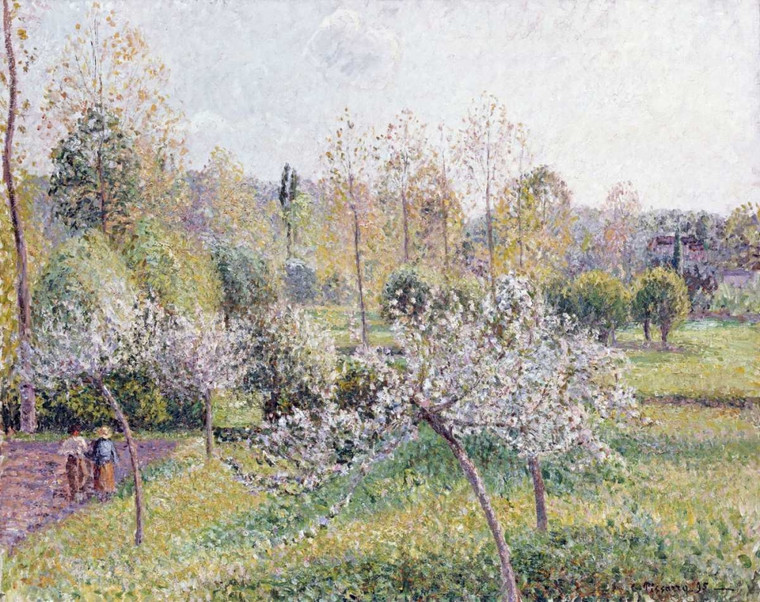 Pissarro Camille Mela alberi in fiore, Eragny Floreale cm64X82 Immagine su CARTA TELA PANNELLO CORNICE Orizzontale