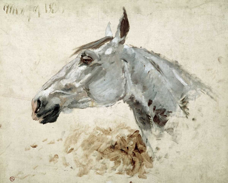 Toulouse Lautrec Henri Testo Di Cavallo Animali cm68X86 Immagine su CARTA TELA PANNELLO CORNICE Orizzontale