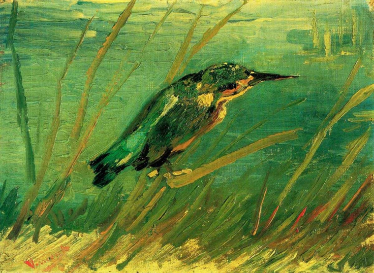 Van Gogh Vincent Martin pescatore Animali cm66X91 Immagine su CARTA TELA PANNELLO CORNICE Orizzontale