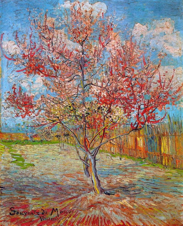 Van Gogh Vincent Rosa Peach albero in fiore Floreale cm73X59 Immagine su CARTA TELA PANNELLO CORNICE Verticale