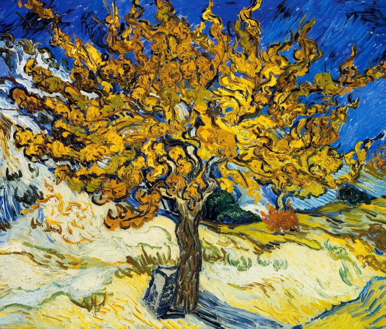 Van Gogh Vincent The Mulberry Tree 1889 Floreale cm89X104 Immagine su CARTA TELA PANNELLO CORNICE Orizzontale
