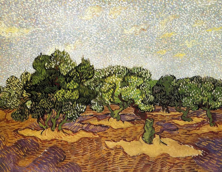 Van Gogh Vincent Olive Grove cielo azzurro pallido Floreale cm54X73 Immagine su CARTA TELA PANNELLO CORNICE Orizzontale