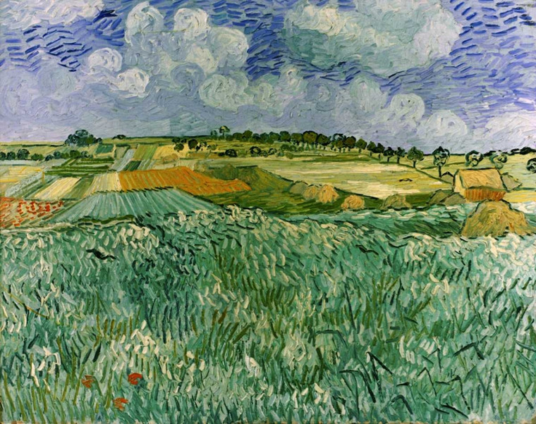 Van Gogh Vincent Pianura vicino Auvers Paesaggio cm57X73 Immagine su CARTA TELA PANNELLO CORNICE Orizzontale