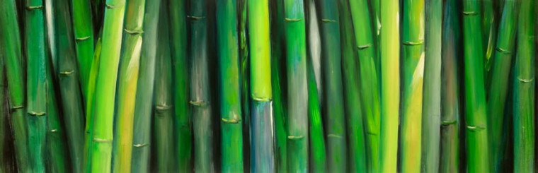 Atelier B Pianta Di bambù Paesaggio cm77X240 Immagine su CARTA TELA PANNELLO CORNICE Orizzontale