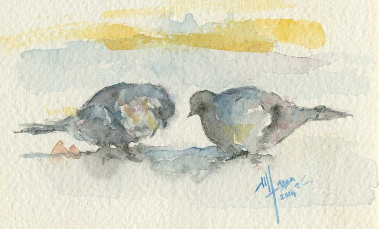 Fadda Maria Nella Due piccioni sulla sabbia Animali cm43X70 Immagine su CARTA TELA PANNELLO CORNICE Orizzontale