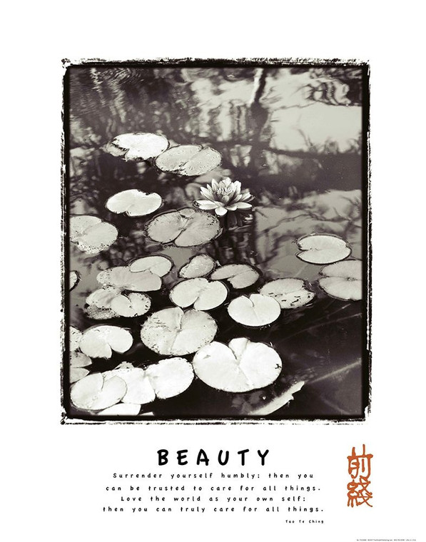 Archivio Beauty   Lillypad Inspirational cm102X80 Immagine su CARTA TELA PANNELLO CORNICE Verticale