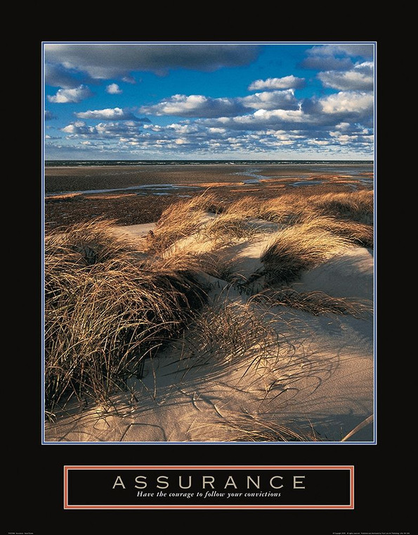 Archivio Assurance   Beach Grass Inspirational cm102X80 Immagine su CARTA TELA PANNELLO CORNICE Verticale