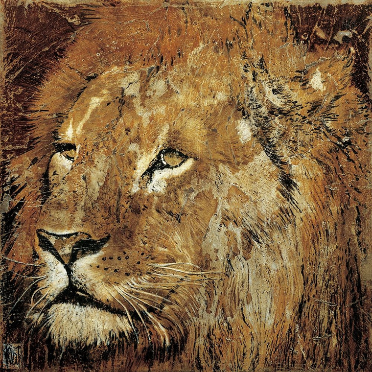 Arietti Fabienne ritratto del leone Animali cm80X80 Immagine su CARTA TELA PANNELLO CORNICE Quadrata