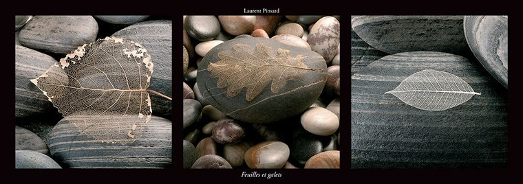 Pinsard Laurent Fogli e rulli Inspirational cm59X171 Immagine su CARTA TELA PANNELLO CORNICE Orizzontale