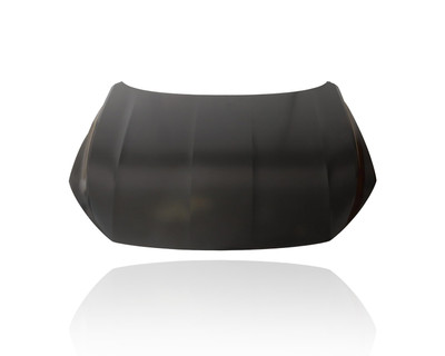 Hood - Compatible/Replacement for '20-22 Volkswagen Passat, 561823031G