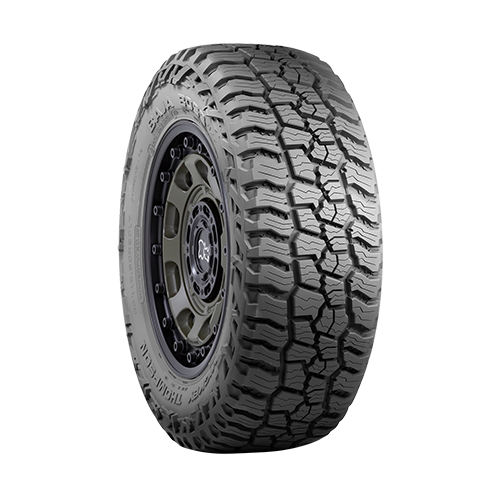 Baja Boss A/T LT - LT315/70R17, 121 Q, 17in(Rim), 34.49in(Tire) - 787025503012