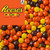 Reese's Pieces (25lbs) Reese's Pieces (25lbs)