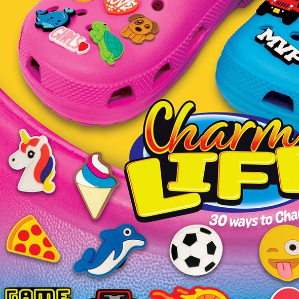 display card showing some of  the types of Shoe Charms that may be present in the mix