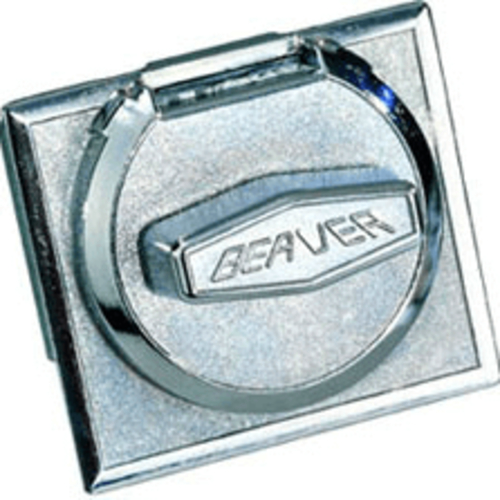 beaver-coin-mechanism-1-.jpg