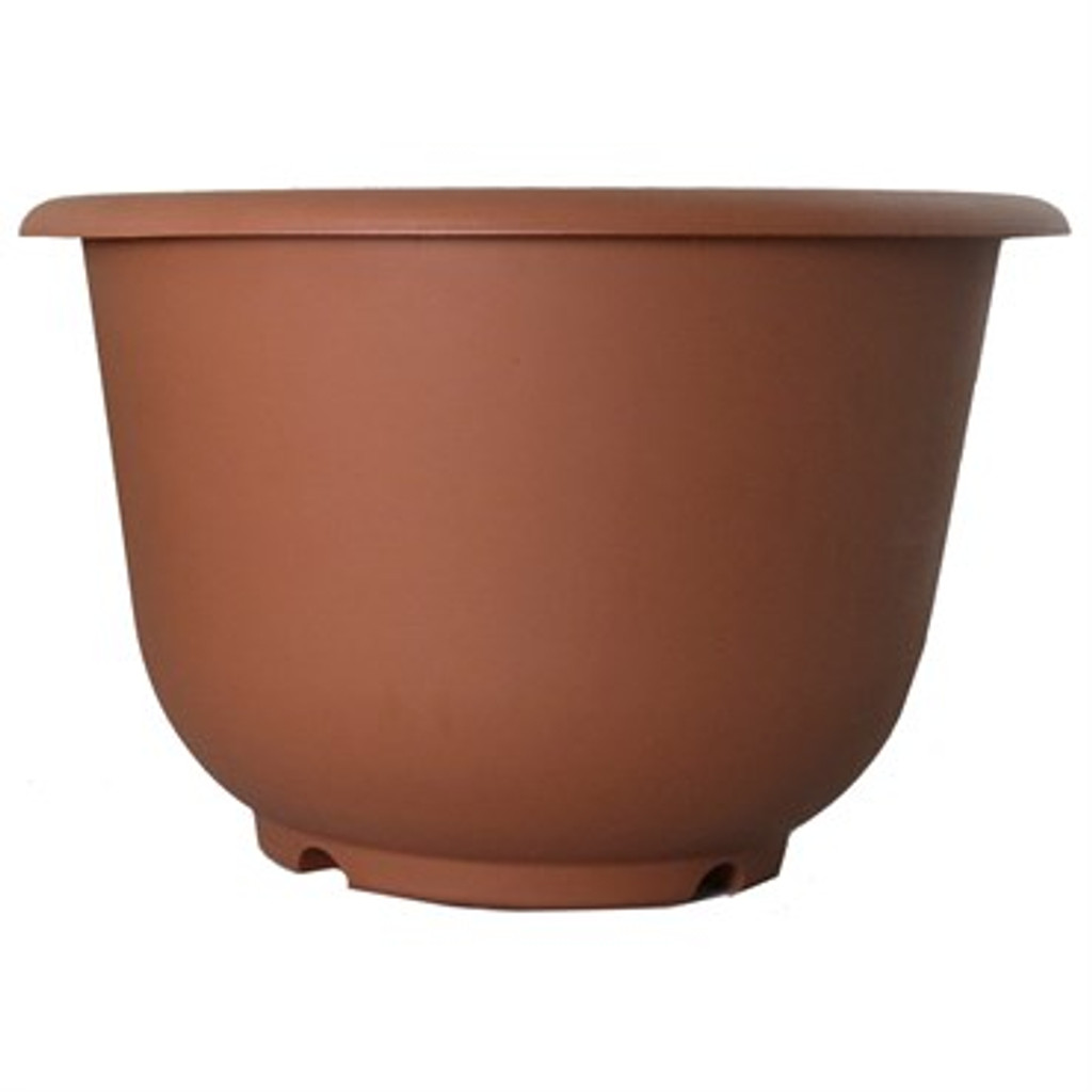 Planter Rolled Rim Terracotta