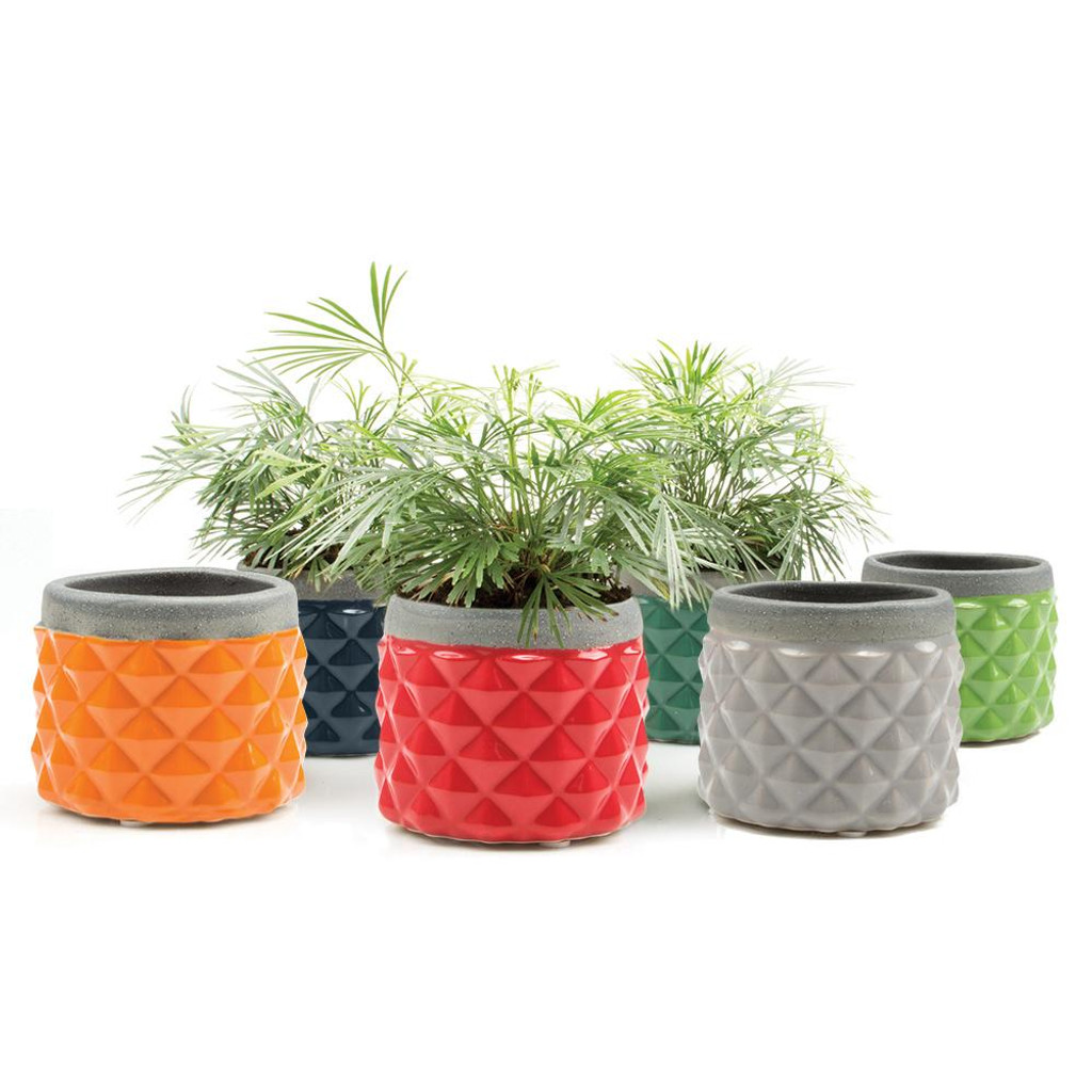 Ceramic Pina Planter group
