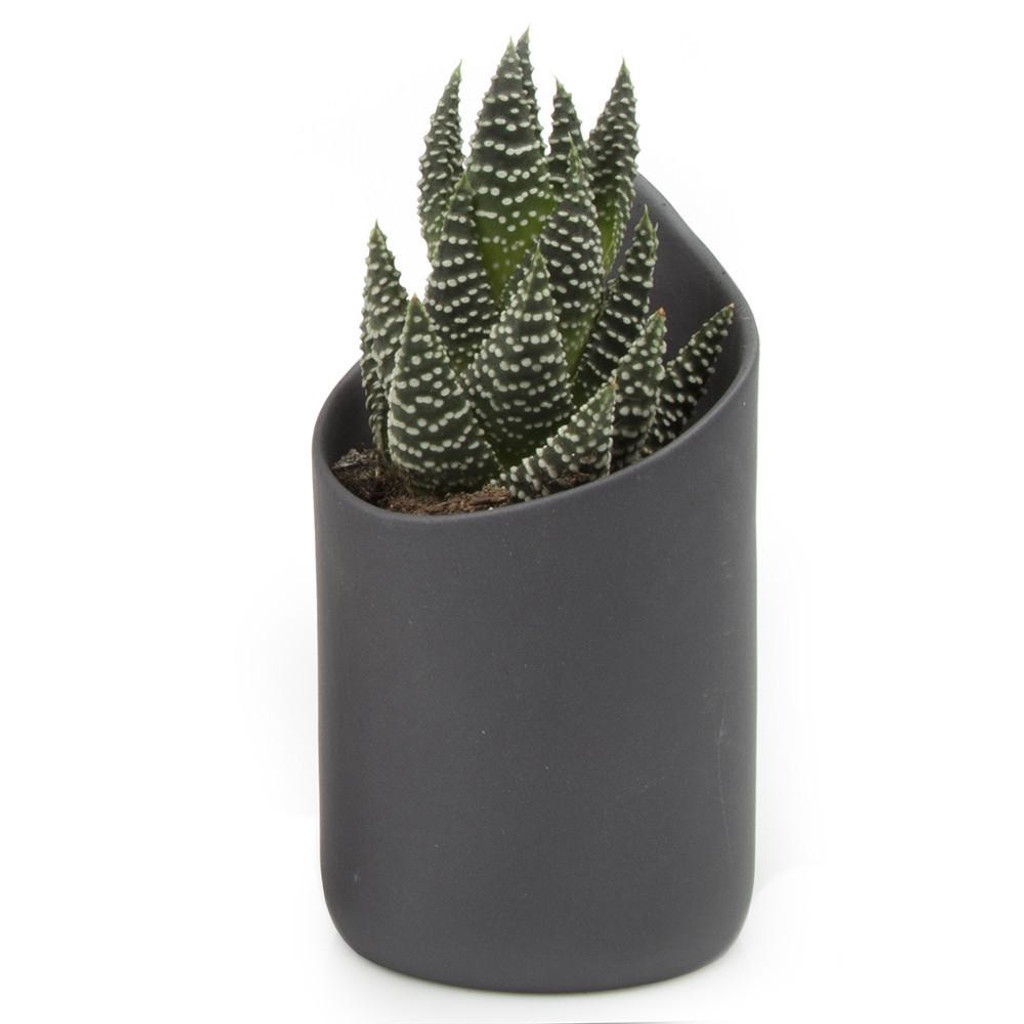 Clay Tokyo Planter 3