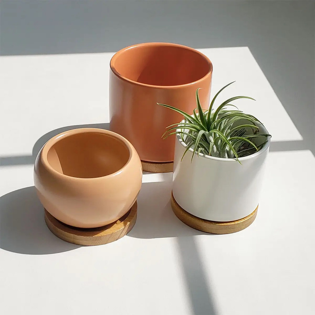 Ceramic Pot Planter with Natural Bamboo Wood Saucer