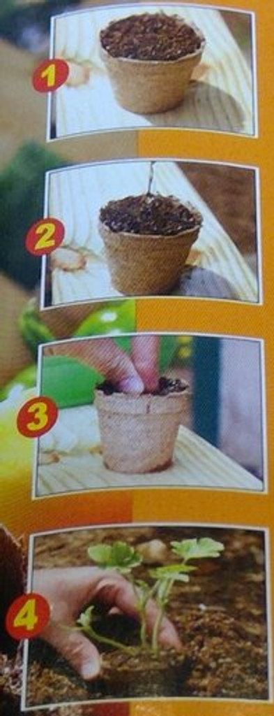 Jiffy Round Peat Pots 2" Pack of 12