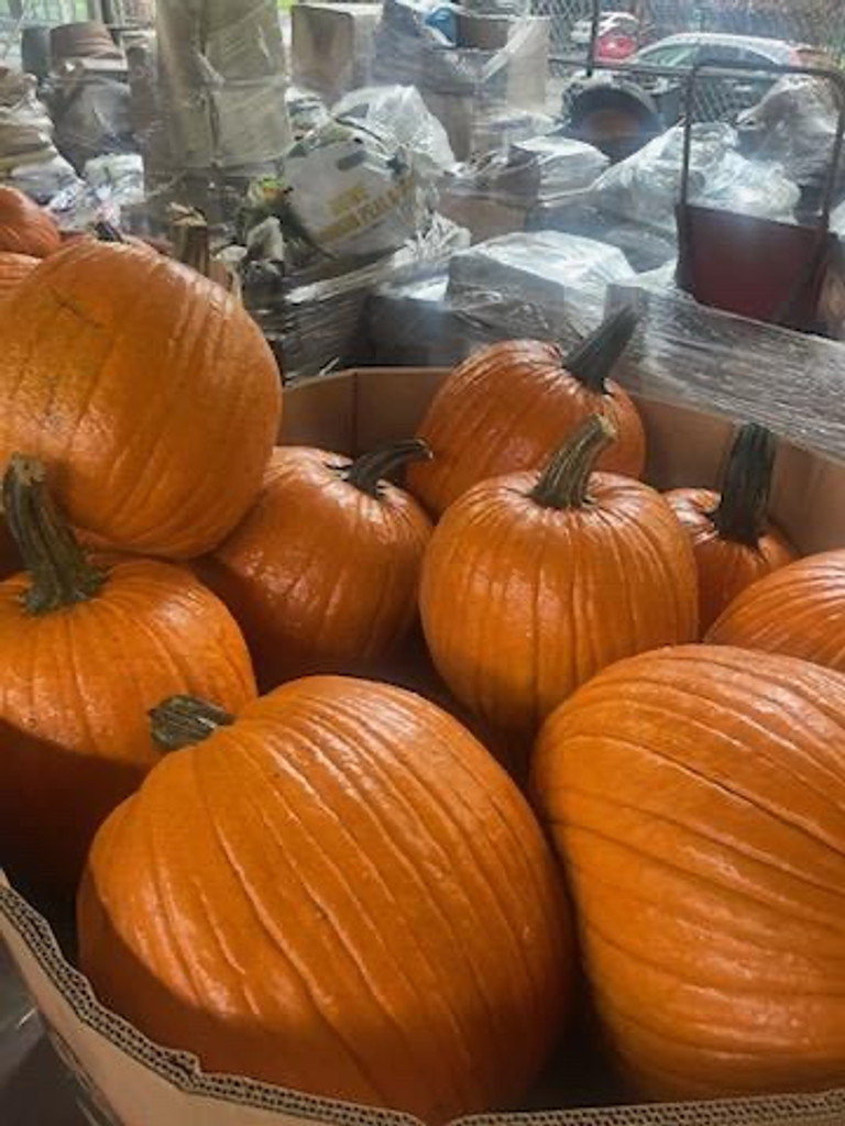 Pumpkins and Gourds