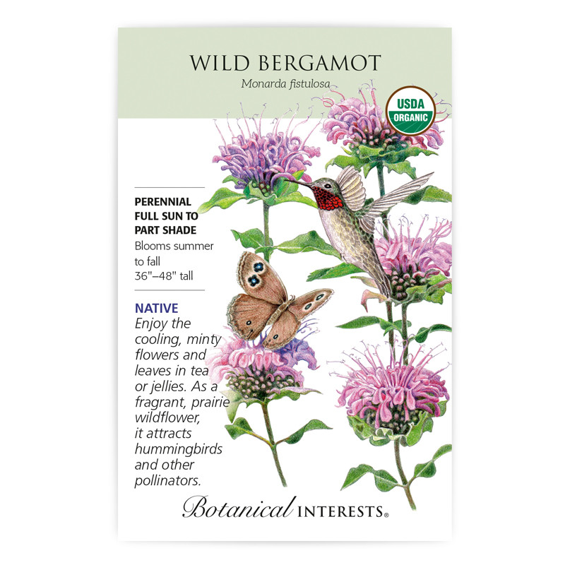 Wild Bergamot Seeds Organic Urban Garden Center