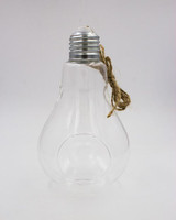 Air Plant Light Bulb 3"x5"