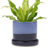 Big Minute Cobalt Blue Big Minute Cobalt Blue
