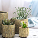 Ceramic Bark Plant Pot in room