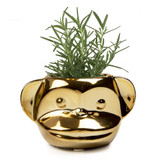 Funky Monkey Planter 3.5" Funky Monkey Planter 3.5"